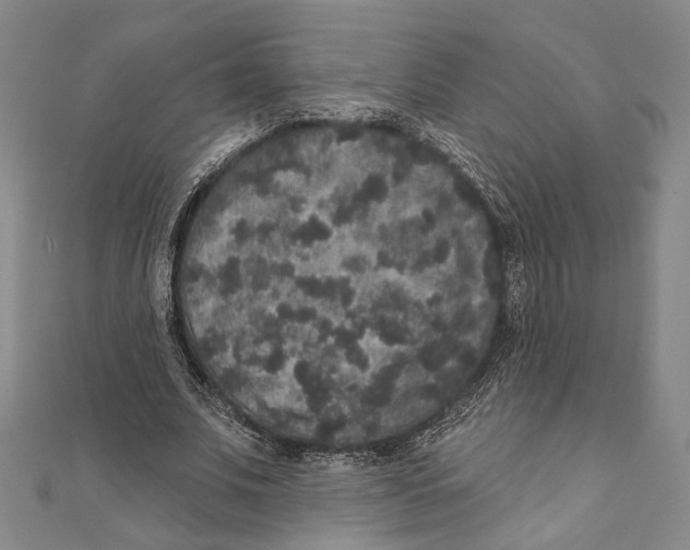 X0000111160679200907281153