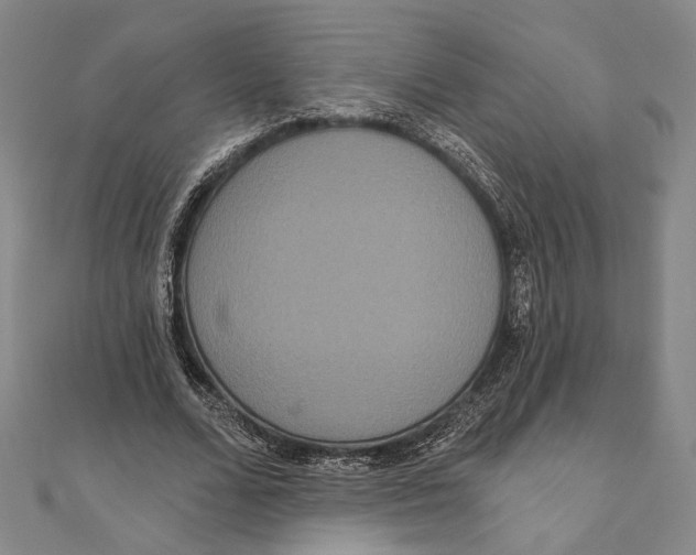 X0000111160680200907281153