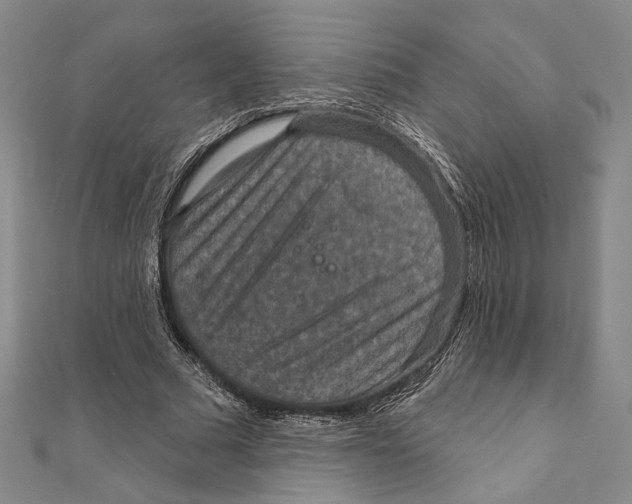 X0000111160681200907281153