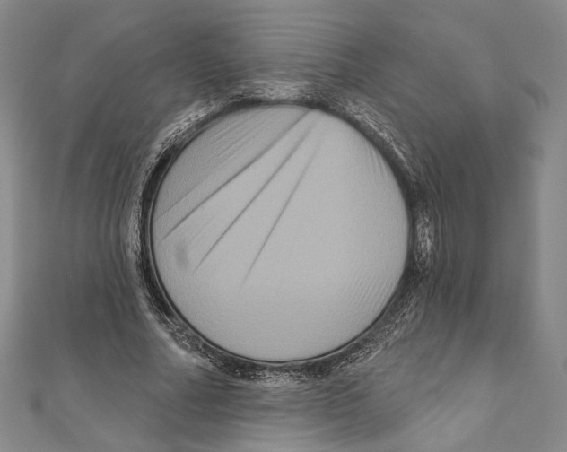 X0000111160682200907281153