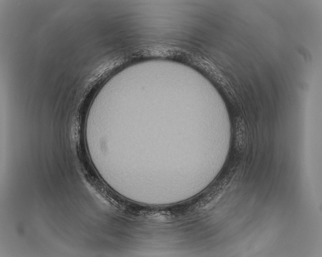 X0000111160683200907281153