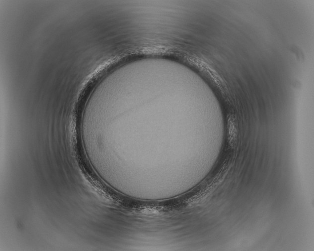 X0000111160684200907281153
