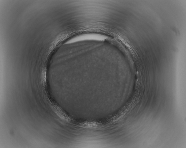 X0000111160685200907281153