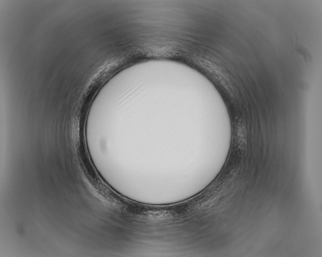 X0000111160686200907281153