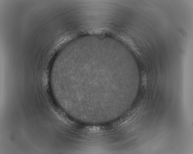 X0000111160687200907281153