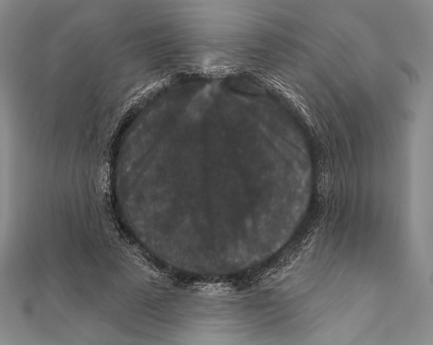 X0000111160689200907281153