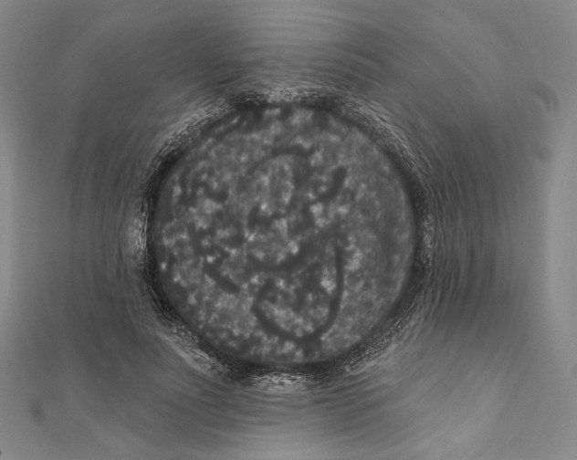X0000111160691200907281153