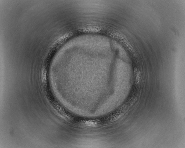 X0000111160692200907281153