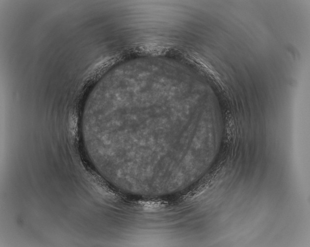 X0000111160693200907281153