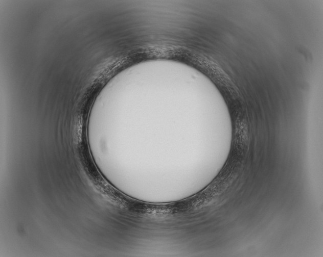 X0000111160694200907281153