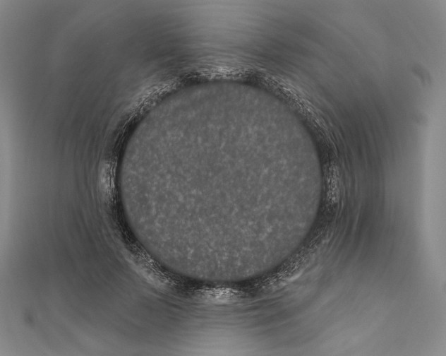 X0000111160695200907281153