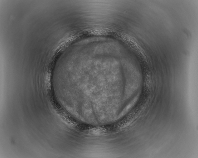 X0000111160696200907281153