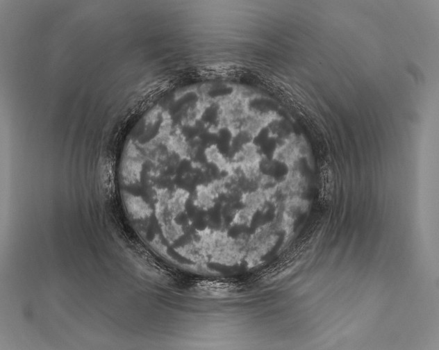 X0000111160699200907281153