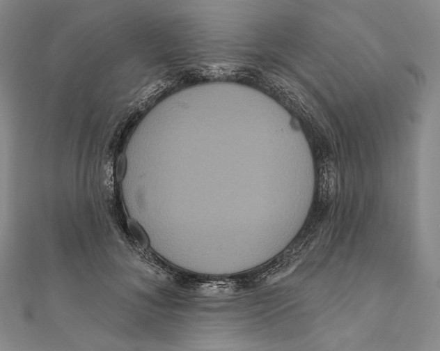 X0000111160700200907281153
