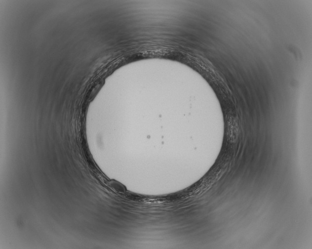 X0000111160701200907281153
