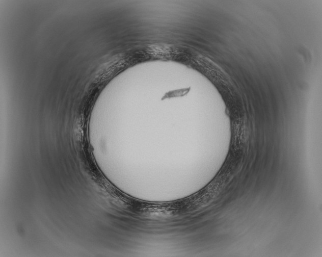 X0000111160702200907281153