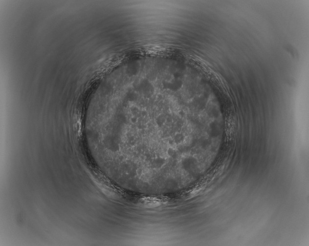 X0000111160703200907281153
