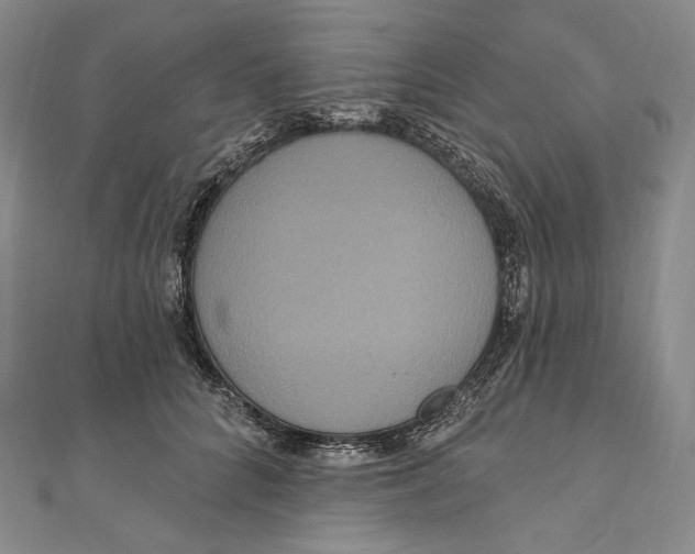 X0000111160704200907281153