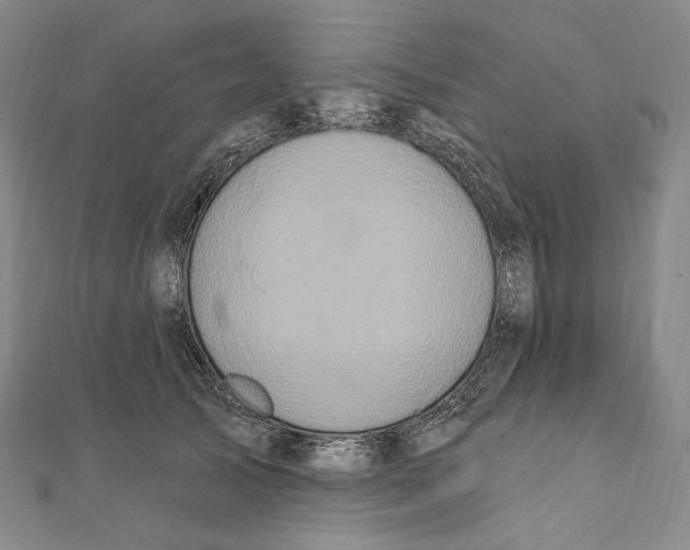 X0000111160705200907281153
