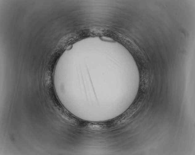 X0000111160706200907281153
