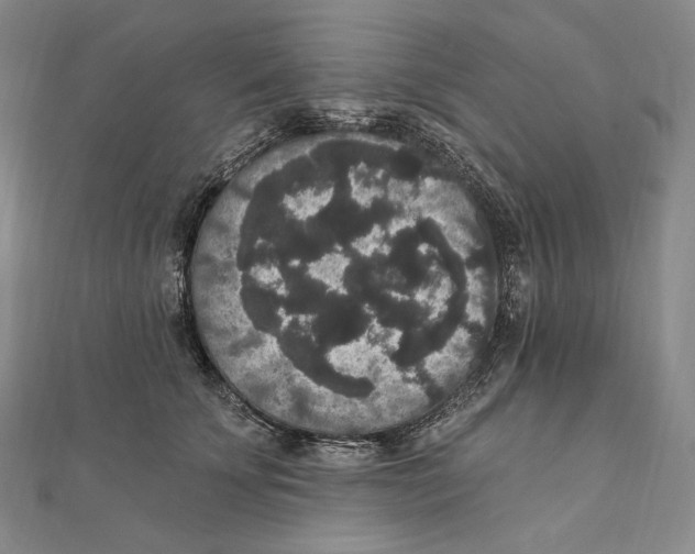 X0000111160707200907281153