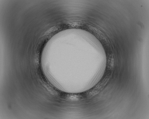 X0000111160710200907281153
