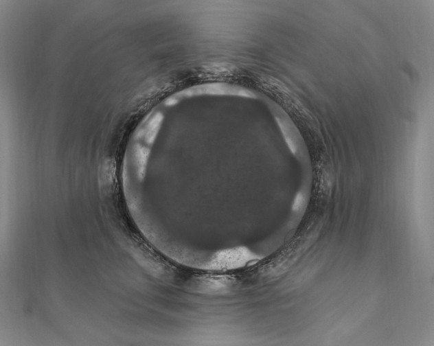 X0000111160711200907281153