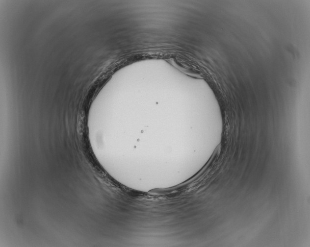 X0000111160712200907281153