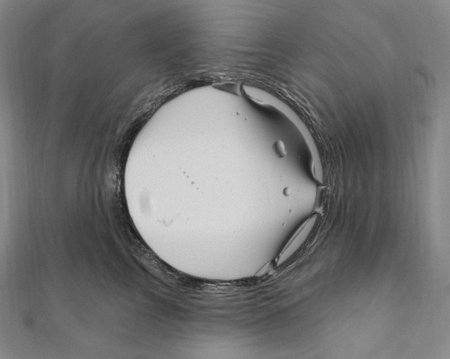 X0000111160713200907281153