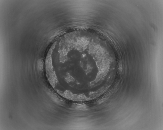 X0000111160715200907281153