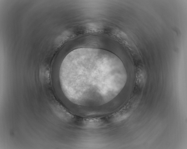 X0000111160716200907281153