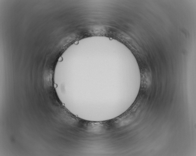 X0000111160717200907281153