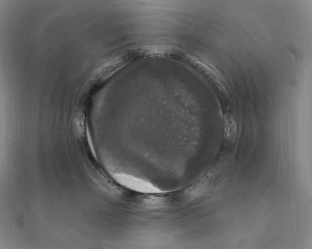 X0000111160718200907281153
