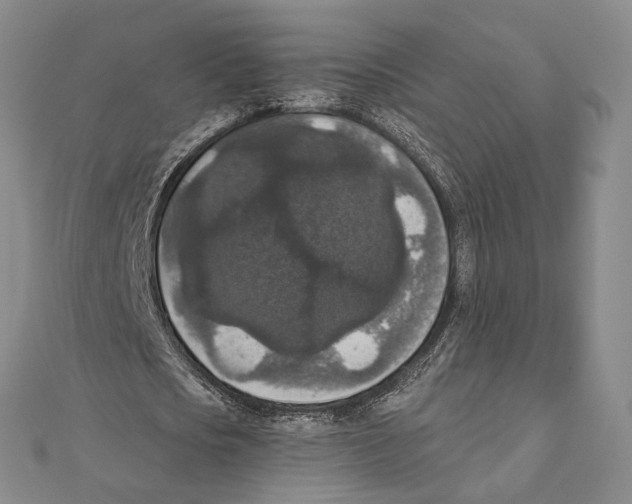 X0000111160721200907281152
