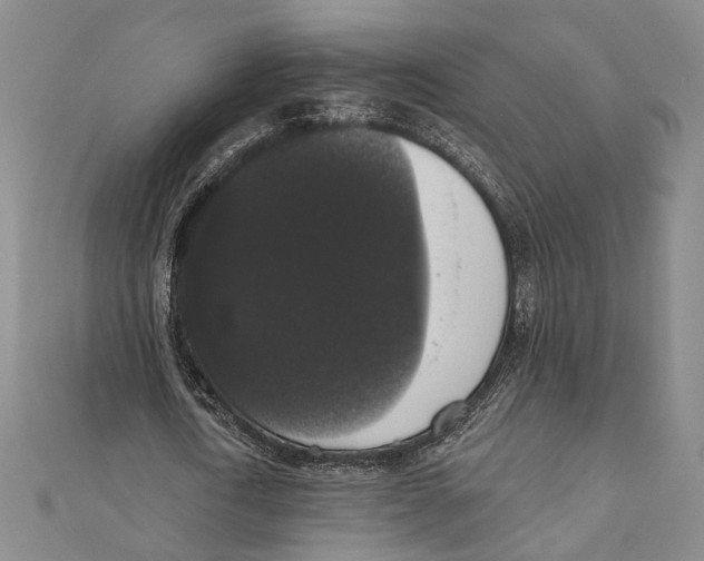 X0000111160722200907281152