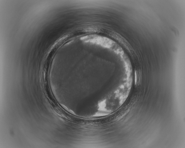X0000111160723200907281152