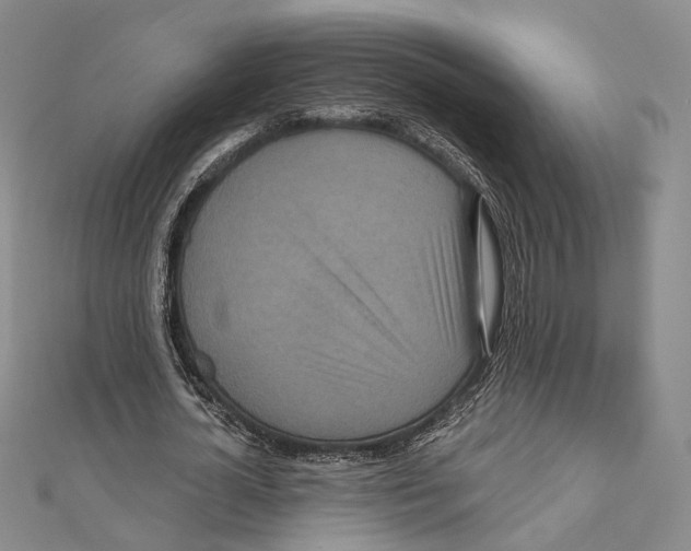 X0000111160724200907281152