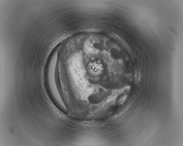 X0000111160725200907281152