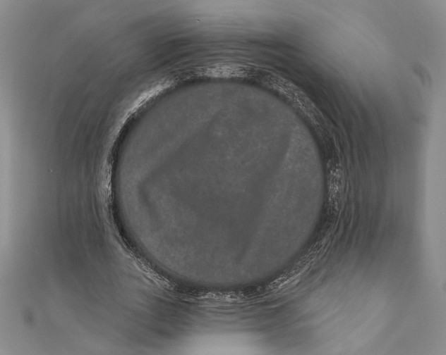 X0000111160727200907281152