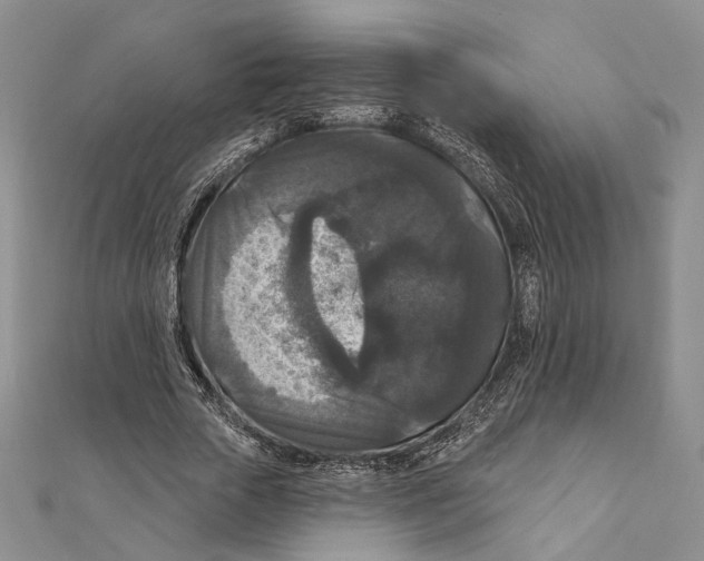 X0000111160729200907281152