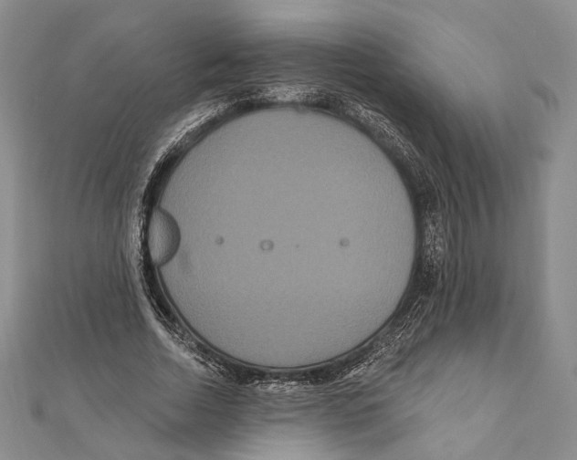 X0000111160730200907281152