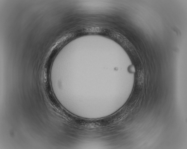 X0000111160731200907281152