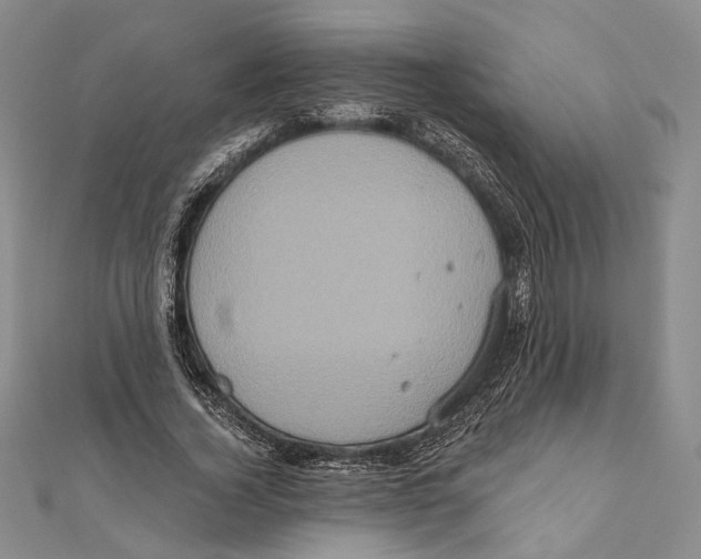 X0000111160732200907281152