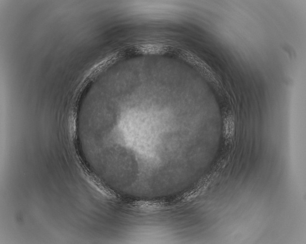 X0000111160733200907281152