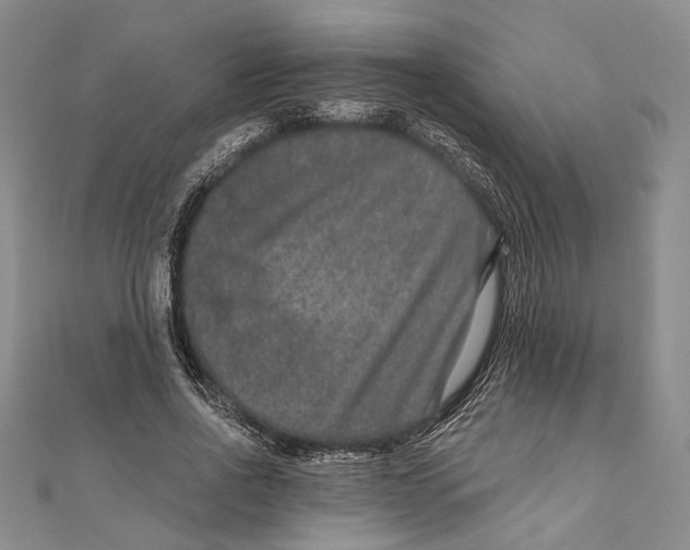 X0000111160734200907281152