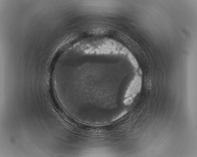 X0000111160735200907281152
