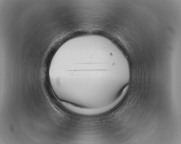 X0000111160736200907281152