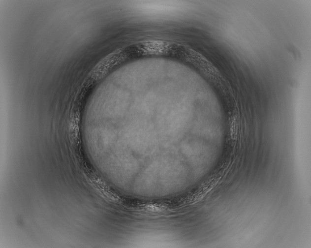 X0000111160737200907281152