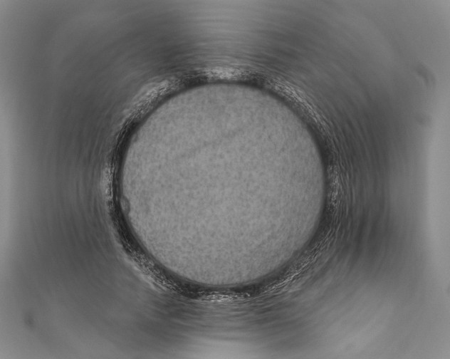 X0000111160738200907281152