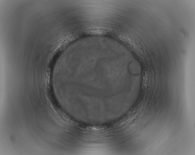 X0000111160739200907281152